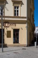 Luxury Apartments Zelny Trh 11 - B&B