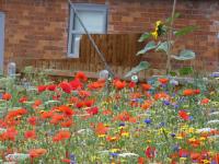 The Cow 'ouse, Wolds Way Holiday Cottages, 1 bed cottage - Chambres d'hôtes Little Weighton