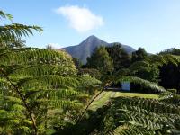 Nadine's Self - Catering Accommodation - Bed and Breakfast