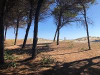 Villa Babai - B&B Santa Lucia