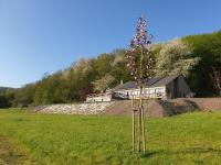 Le Val des Cerfs - Het Hertendal - B&B
