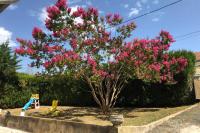 Au lilas rose Maison entre campagne et village - Ferienwohnung
