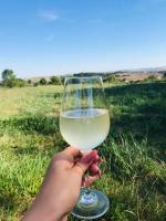 Apartmány Vinařství Klučov - B&B Lstiboř