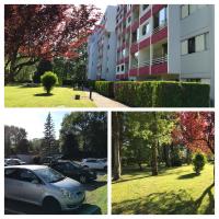 Le calme à 5 mn du centre ville - La Lisière T2 - Chambres d’hôtes Bonneville