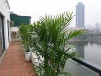 Tài Tâm - Grand Spring Suites - Bed and Breakfast Hanoi