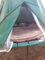 Tenda