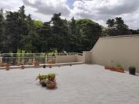 Il Ficodindia bianco-Appartamento con terrazza - B&B