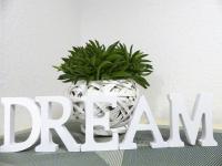 Dream, EP Tickets über uns erhältlich - Ferienwohnung Rust