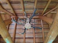 Pensiunea Argela - B&B Argel