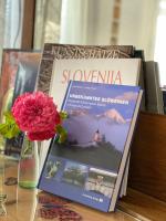 Guesthouse Sabine - pr` Skminc - B&B Bohinjska Bela