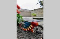 St Brendans Apartment - Chambres d’hôtes Elgin