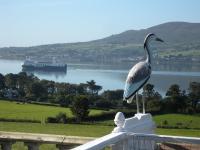 B&B Rostrevor - Seaview Guesthouse - Bed and Breakfast Rostrevor