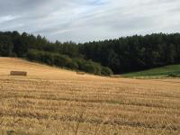 Twizell Lane - Chambres d’hôtes