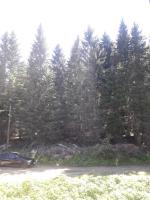 KAMENA 6 - Ferienwohnung Kopaonik