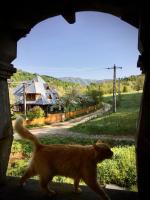 Valea Vinului Suite - Ferienwohnung Vişeu de Sus