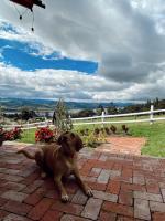 Double Room with Lake View