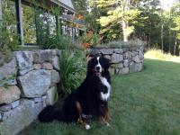 Riverhouse - Bed and Breakfast South Berwick