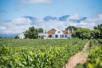 Excelsior Manor Guesthouse - Bed and Breakfast Ashton