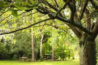Habitación Doble con vistas al jardín