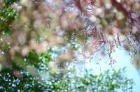 Gemengde Slaapzaal met 6 Bedden