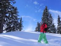 Pension Andrea - Bed and Breakfast Fusch an der Glocknerstraße