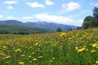 Cul Darach Lodge, Glen Roy Nature Reserve - B&B