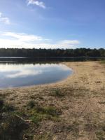 Seegras - B&B Barßel