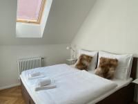 Suite con cama extragrande