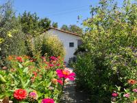 Pension Zoi - B&B Kolymbia