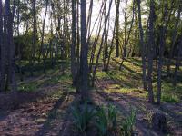 la Sainterie - B&B Savonnières