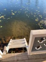 Wilderness and Calmness in Lapland - B&B Nattavaara