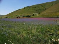 Antica Carbonaia di Norcia - Chambres d’hôtes Norcia