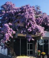 GARDEN OF VENICE - B&B