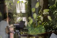 Cat Homestay - Bed and Breakfast