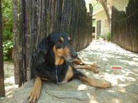 Casa Bella - B&B Taganga