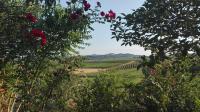 Agriturismo La Chiesina - Ferienwohnung