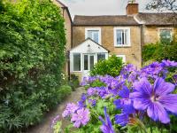 Woodbine Cottage - Bed and Breakfast