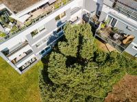 Ferienwohnungen Riese - Sonnenstrahl - Bed and Breakfast Arnsberg