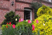 Studio Ferme de Bonavis - B&B