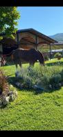 B&B Vairano-Patenora - Family Farm Soc. Agr. a r.l. - Bed and Breakfast Vairano-Patenora