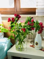 Idyllische Ferienwohnungen in Mossendorf - B&B Burglengenfeld