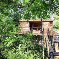 Cabane dans les Arbres 1 Chambre