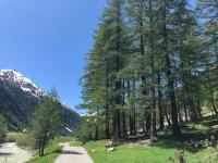 Appartamento con 2 Camere da Letto