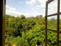 Green View Ella - B&B