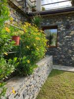 Collina e mare - B&B Camogli