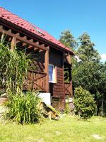 Studio with Garden View