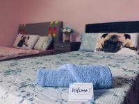 Comfort Dreibettzimmer mit Dusche