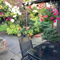 Brook Lodge Country Cottage - Bed and Breakfast Doncaster