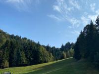 Apartma Jure - B&B