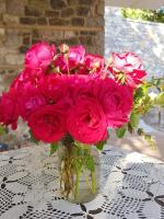 Triple Room with Garden View